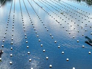 2025年北海市铁山港区底播养殖用海海域使用权出让公告