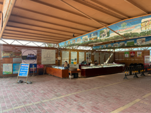 关于广西北海市金海湾红树林3个经营项目3年经营权的拍卖公告