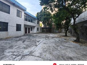 单位自有房地产拍卖公告