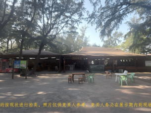 广西北海金海湾红树林疍家美食园运营服务项目3年经营权。起拍价：100万元/年，委托人每月将营业收入与买受人３:７分成（委托人３：买受人７）。