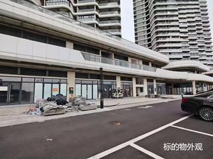 关于2套抵税不动产的拍卖公告